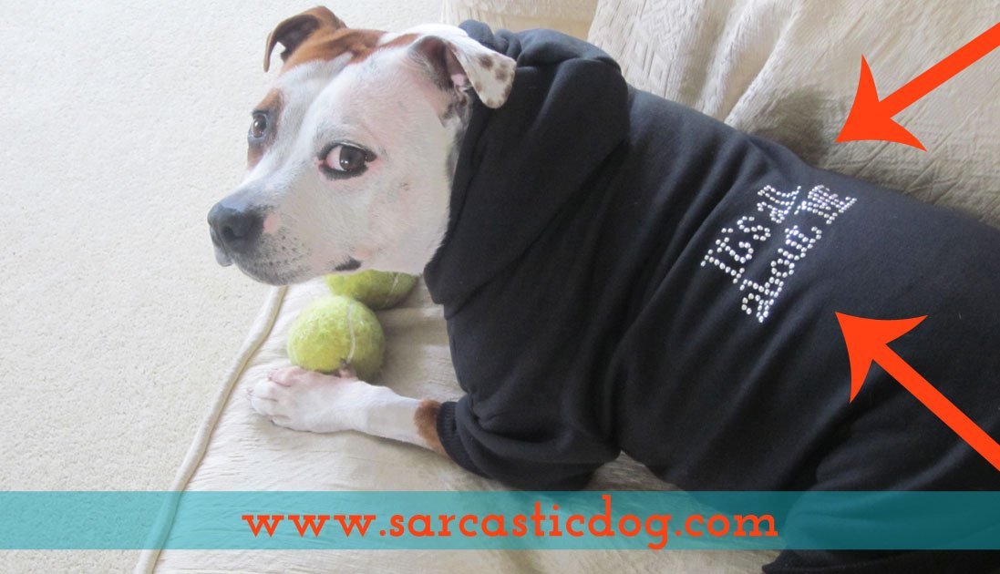 january-feature-molly-3-hoodie