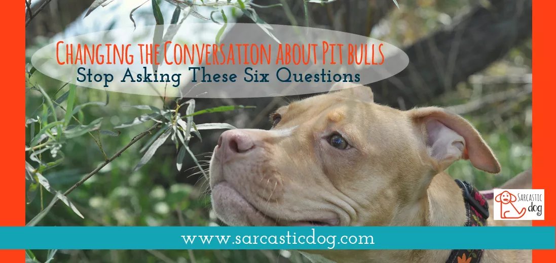 Stop-asking-these-questions