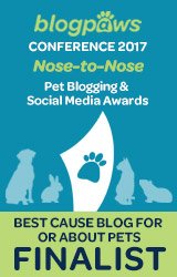 2017 Best Cause Blog Finalist