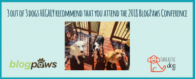 Take your blog to the next level. Register for the BlogPaws pet blogging and influencer conference